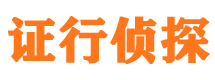 尼勒克侦探公司